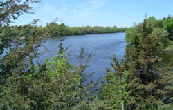 Bridgeview Park Reserve