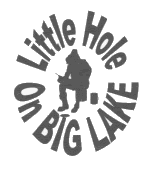 Local Hole Logo