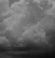 wx_icon